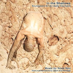 In The Shallows - Yuval Ron