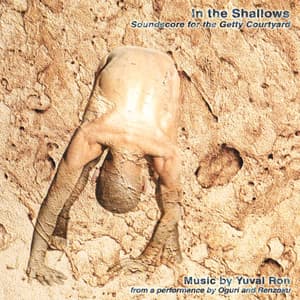 In The Shallows - Yuval Ron