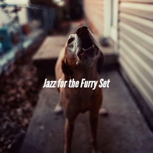 Jazz for the Furry Set - Jazz for Dogs