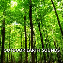 Outdoor Earth Sounds - Earth Sounds