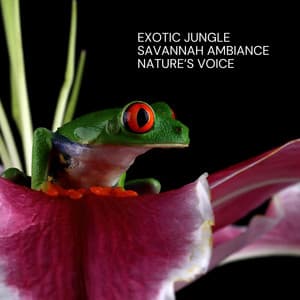 Exotic Jungle and Savannah Ambiance: Nature’s Voice - Ambient Jungle Sounds