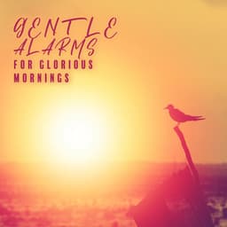 Gentle Alarms for Glorious Mornings - Daves Gordson