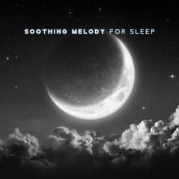 vVv Soothing Melody for Sleep vVv - Nature Sounds