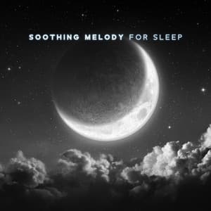 vVv Soothing Melody for Sleep vVv - Nature Sounds