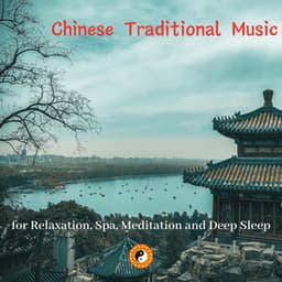 Chinese Traditional Music for Relaxation, Spa, Meditation and Deep Sleep - Chinese Yang Qin Relaxation