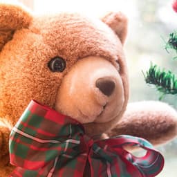 Silvery Cascade Rhythms - Arctic Comfort