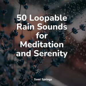 50 Loopable Rain Sounds for Meditation and Serenity - Baby Sweet Dream