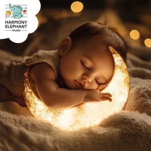 Songs for the Sleeping Moon - Sleep My Child