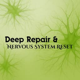 Deep Repair & Nervous System Reset - Lucas Deltaz