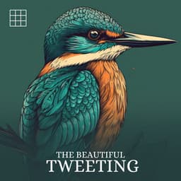 #01 The Beautiful Tweeting - Bird Sounds
