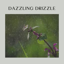Dazzling Drizzle - Clear Mind Raining