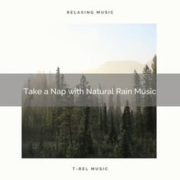 Take a Nap with Natural Rain Music - Rainfall For Sleep