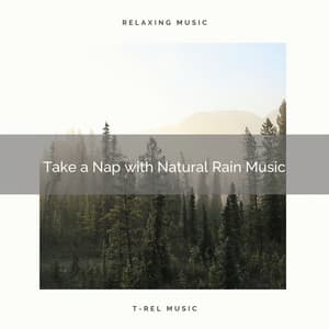 Take a Nap with Natural Rain Music - Rainfall For Sleep