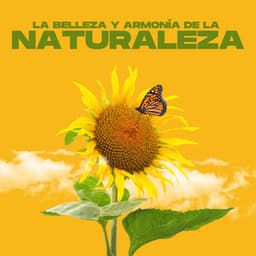 La Belleza y Armonía de la Naturaleza - Sonidos Relajantes de Naturaleza