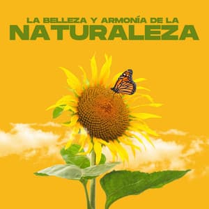 La Belleza y Armonía de la Naturaleza - Sonidos Relajantes de Naturaleza