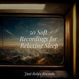 50 Soft Recordings for Relaxing Sleep - Natural Sounds