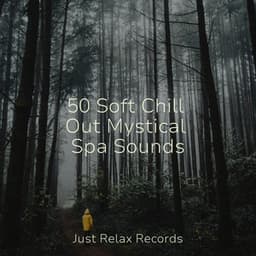 50 Soft Chill Out Mystical Spa Sounds - Sleep Music Lullabies