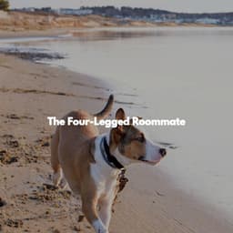 The Four-Legged Roommate - Calming Dog Jazz