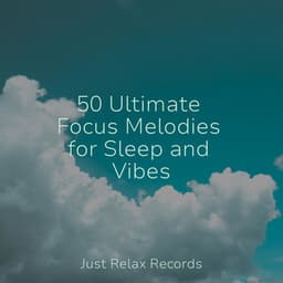 50 Ultimate Focus Melodies for Sleep and Vibes - Best Relaxing SPA Music