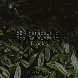50 Therapeutic Spa Relaxation Tracks - Shakuhachi Sakano