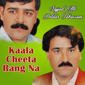 Kaala Cheeta Rang Na - Sajjad Ali