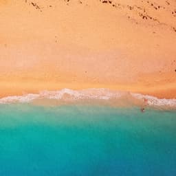 10 Waves: The Water's Edge - Coastal Sounds