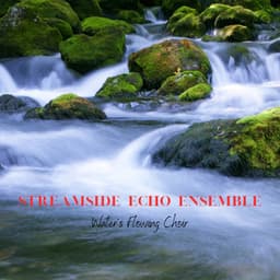 Streamside Echo Ensemble: Water's Flowing Choir - Waterfall Library