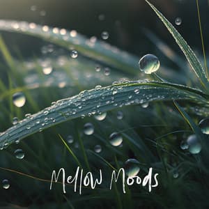Mellow Moods: Relaxation Resonance, Anxiety Alleviation, Stress-Free Melodies - Total Relax Music Ambient