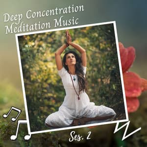 Deep Concentration Meditation Music Ses. 2 - Music For Dogs