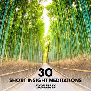 30 Short Insight Meditations: Healthy Mind, Cultivate More Calm Within, Meditation Practice with Headspace, Meditation to Let Go of Stress & Acceptation - Sound Therapy Masters