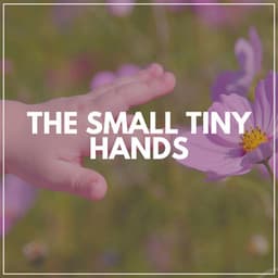 The Small Tiny Hands - Baby Music Center