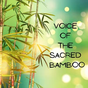 Voice of the Sacred Bamboo - Solfi Sacred