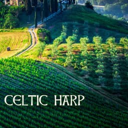 Celtic Harp - Christmas Soundscapes for Relaxation - Irish Music Duet