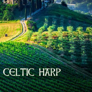Celtic Harp - Christmas Soundscapes for Relaxation - Irish Music Duet