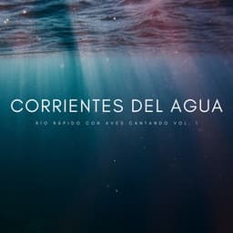 Corrientes Del Agua: Río Rápido Con Aves Cantando Vol. 1 - Lluvia PQ
