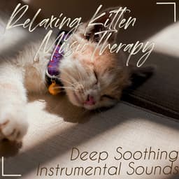 Relaxing Kitten Music Therapy: Deep Soothing Instrumental Sounds - RelaxMyCat