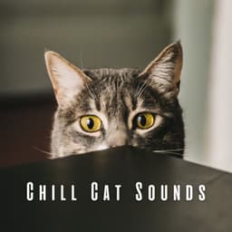 Chill Cat Sounds: Lofi Paws and Melodies - Lofi Sad