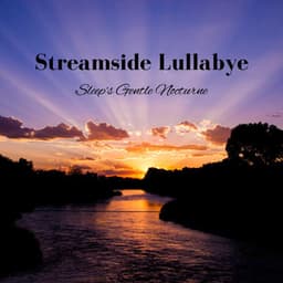 Streamside Lullabye: Sleep's Gentle Nocturne - Deep Sleep Vacuum Cleaners