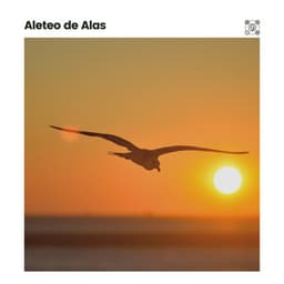 Aleteo de Alas - Sonidos de ruido blanco