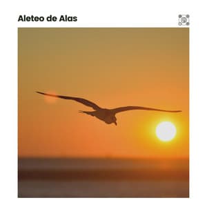 Aleteo de Alas - Sonidos de ruido blanco
