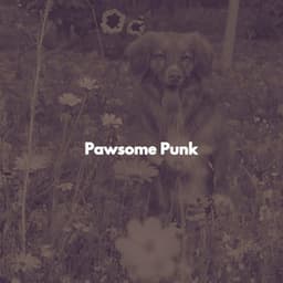 Pawsome Punk - Musica per Studiare