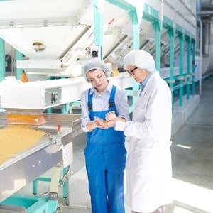 Serenity at Work: Chill Music for Productive Days - Anxiety Relief Group