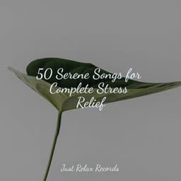 50 Serene Songs for Complete Stress Relief - Binaural Beats Brainwave Entrainment