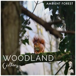 Woodland Critters - Ambient Forest