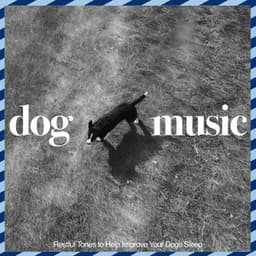 Music For Dogs: Restful Tones to Help Improve Your Dogs Sleep - Music For Dogs Peace