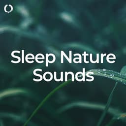 Sleep Nature Sounds - The Nature Soundscapes