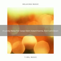 A Lovely Noise For Carpe Diem Instant Karma, And Calm Down - Sleepful Noises