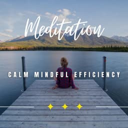 Calm Mindful Efficiency: Work with Serenity - Happy Work from Home
