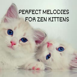 Perfect Melodies for Zen Kittens - Cat Music