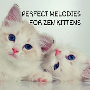 Perfect Melodies for Zen Kittens - Cat Music